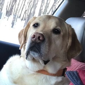 Meet your Posher, Beyhan